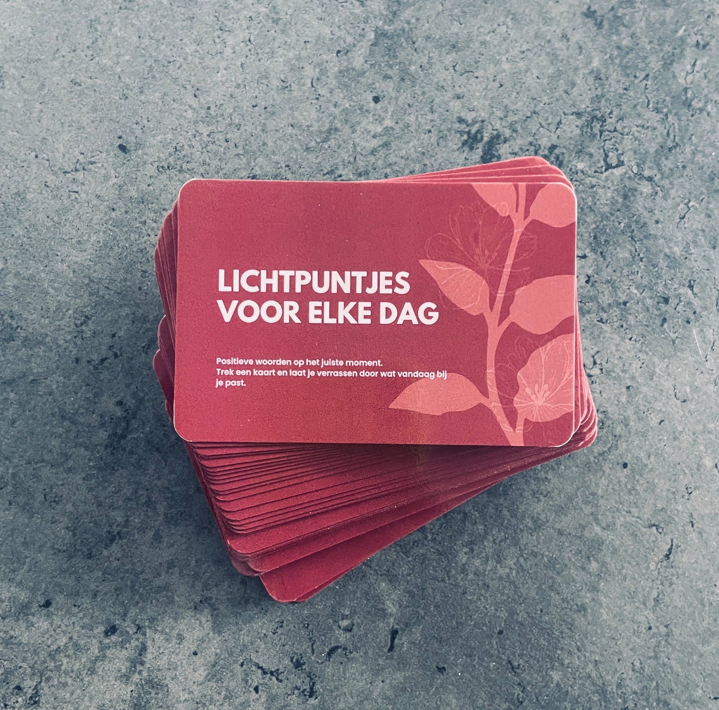 Lichtpuntjes voor elke dag